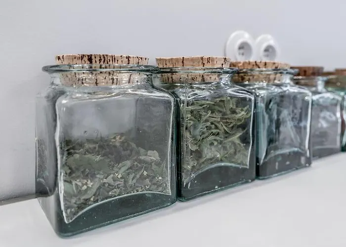 La Maison Rouge - Maison Familiale & Proche Centre Willa